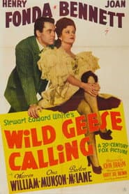 Wild Geese Calling