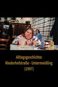Alltagsgeschichte – Niederhofstraße Untermeidling