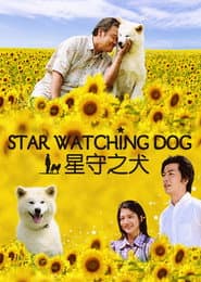Star Watching Dog