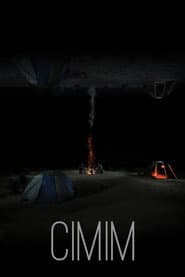 CIMIM