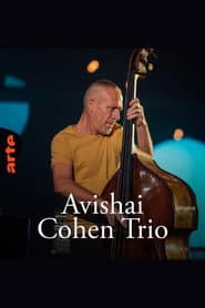 Avishai Cohen Trio – Shifting sands