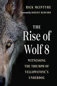 The Alpha Wolves of Yellowstone