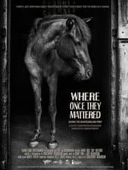 Where Once They Mattered