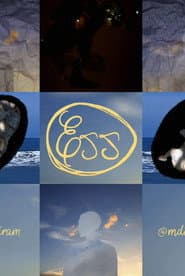 Egg (E22)