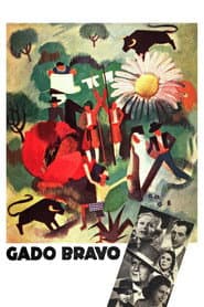 Gado Bravo