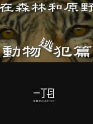 In the Forest and the Wilderness—The Animal Fugitives