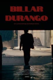 Billar Durango