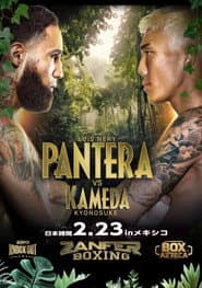 Luis Nery vs. Kyonosuke Kameda