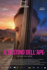 Il destino dell'ape