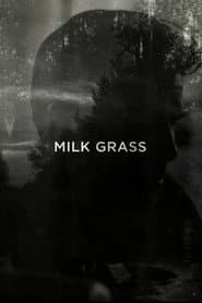 Milk Grass