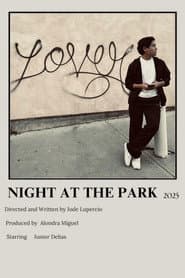 Night at the Park