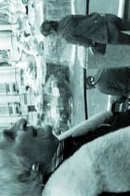THE INTERPRETER OF BLACK AND WHITE FILMS