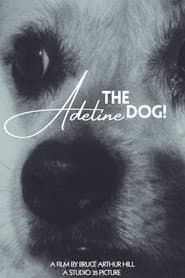 Adeline The Dog!