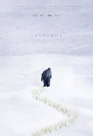 Chamomile