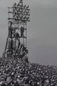 Notts County v York City