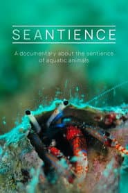 Seantience