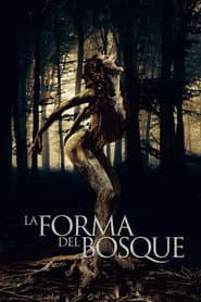The Shape of the Woods