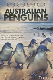 Australian Penguins