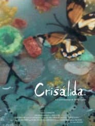 Crisálida