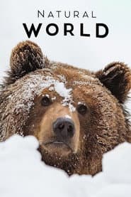 France: The Wild Side