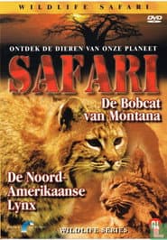 Safari: De Bobcat van Montana / De Noord-Amerikaanse Lynx