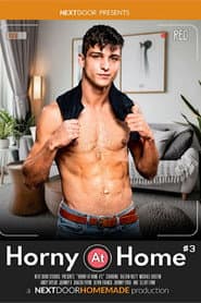Horny at Home 3