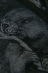 Beaver Report