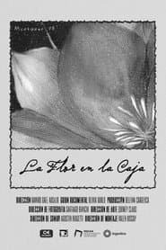 The Flower in the Box
