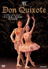 Don Quixote (ABT in Japan, 2011)