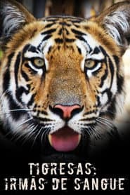 Tigress Blood