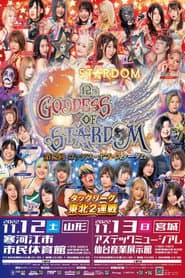 Stardom 12th Goddesses of Stardom Tag League in Sagae