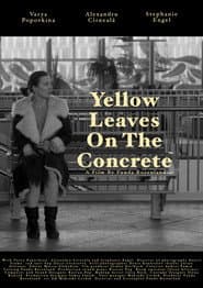 Yellow leaves on the concrete