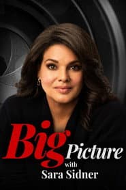Big Picture with Sara Sidner