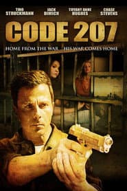 Code 207