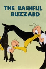 The Bashful Buzzard