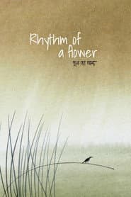 Rhythm of a Flower