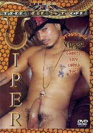 The Best of Viper