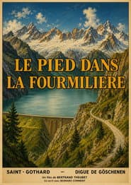 Le pied dans la fourmilière
