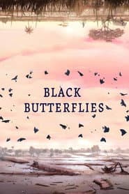 Black Butterflies