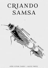 Making Samsa