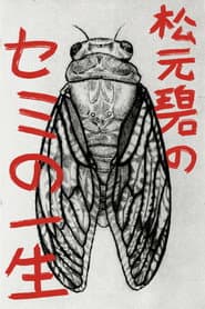 Midori Matsumoto’s: The Life Cycle Of A Cicada