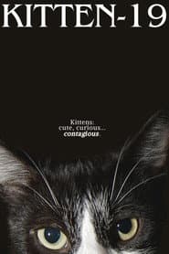 Kitten-19