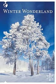 Winter Wonderland