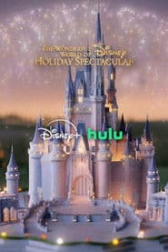 The Wonderful World of Disney: Holiday Spectacular