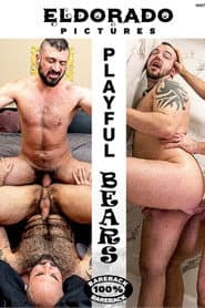 Playful Bears