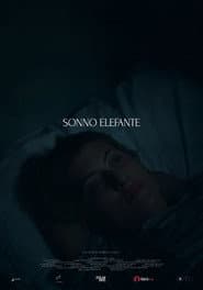 Sonno Elefante