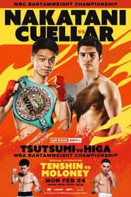 PRIME VIDEO BOXING 11