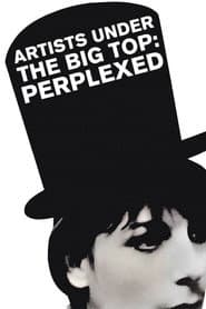 Artists Under the Big Top: Perplexed