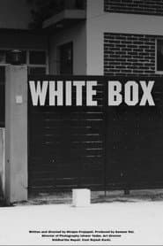 White Box
