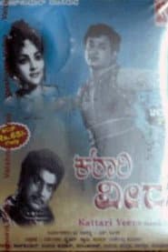 Katari Veera